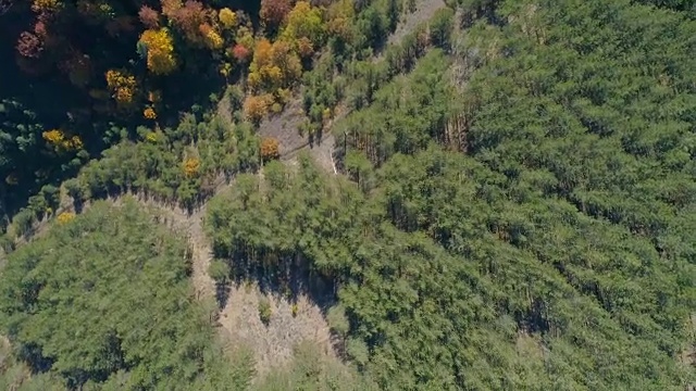 山鸟瞰图视频素材