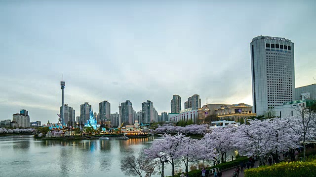 从白天到晚上，在乐天世界大厦(韩国最高的建筑)和石泉湖附近的樱花节视频素材