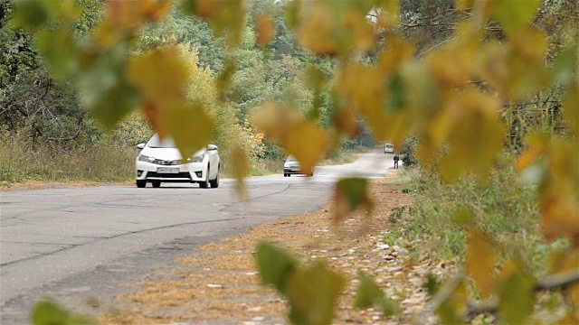 路上有车辆。秋天的树叶靠近道路。视频素材