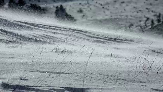 飘雪，超高清股票视频视频素材