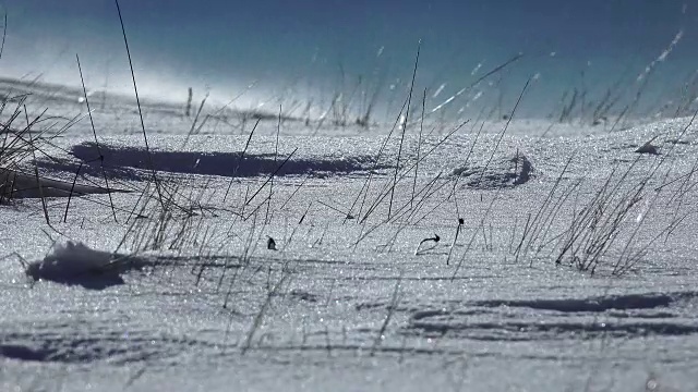 雪山吹风，超高清股票视频视频素材