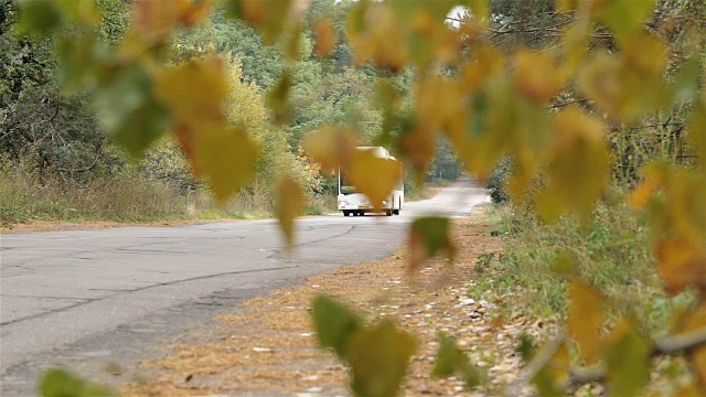 公共汽车在路上。秋天的树叶靠近道路。视频素材