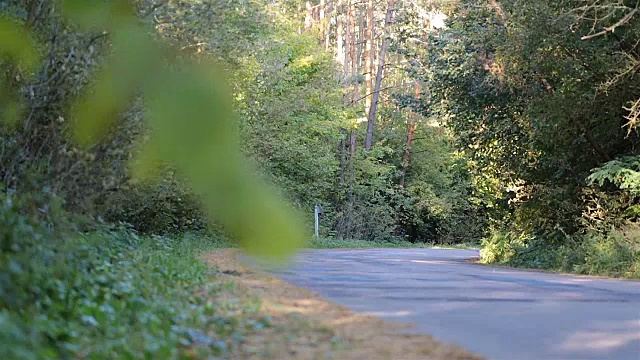 跨界车沿着森林道路行驶。视频素材