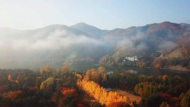 韩国奈美岛秋季鸟瞰图视频素材