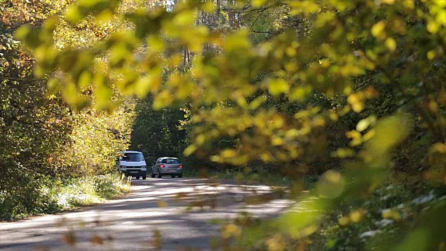 森林中道路上的车辆。视频素材