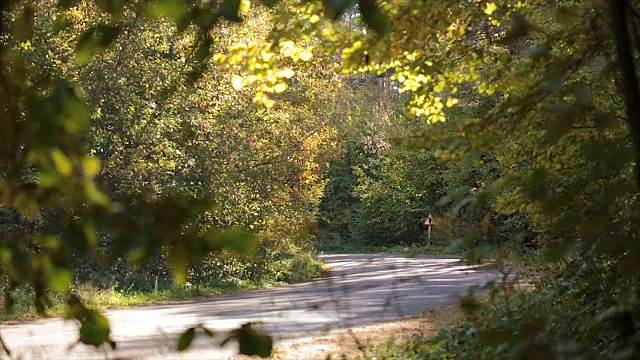 跨界车沿着森林道路行驶。视频素材