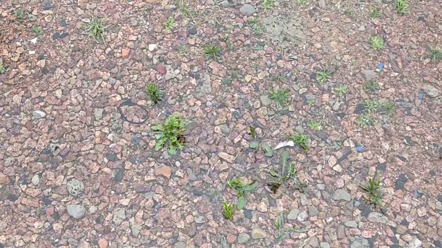 雨点落在碎石上的顶视图视频素材