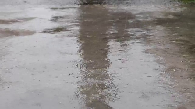 雨点落在开裂的混凝土庭院里，伴随着树叶和自然的声音视频下载