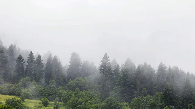 雾和雨在山区森林景观时间流逝视频素材