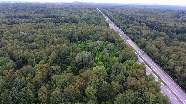 无人机拍摄的波兰北部森林中的道路。视频素材