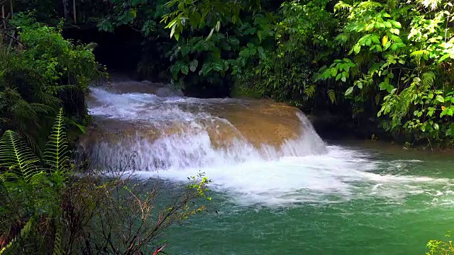 El Nicho，古巴:水在自然公园的岩石上流过视频素材