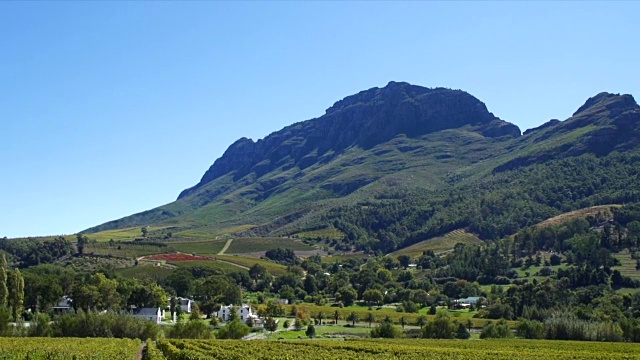 葡萄酒庄园和葡萄园/ Franschhoek/西开普省/南非视频素材