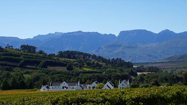 WS PAN葡萄酒庄园及葡萄园/ Franschhoek/西开普省/南非视频素材