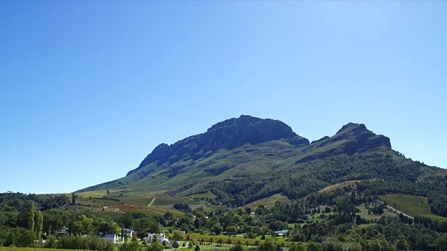 WS ZO Boschendal葡萄酒庄园及葡萄园/ Franschhoek/西开普省/南非视频素材