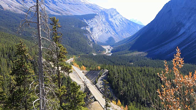 穿过落基山脉的冰原高速公路视频素材