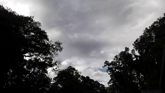 暴风雨的天空飞过黑暗的森林视频下载