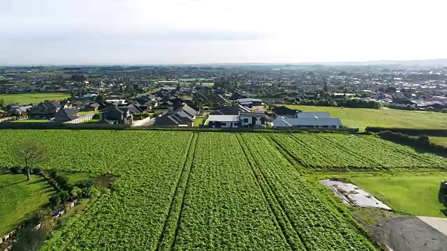 农作物和住宅发展的天线视频素材