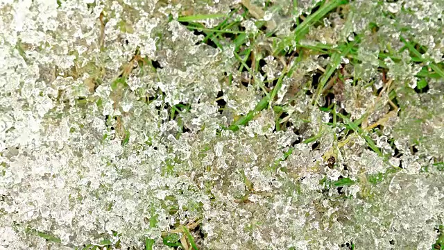 在高清晰度的一小片草上融化的雪的近距离镜头。uhd视频素材