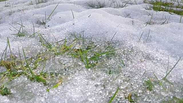 时间推移近距离拍摄的雪融化在一个微小的草叶在高清晰度。视频素材