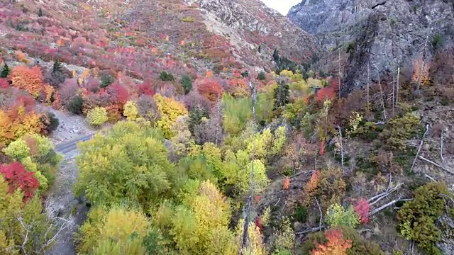 飞过峡谷，观赏五彩缤纷的秋天树叶视频素材