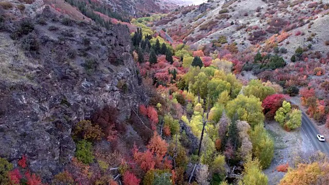 飞过岩石山坡，掠过五彩缤纷的秋叶视频素材