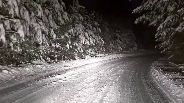 晚上在松树林里的雪路上开车，pov视频素材