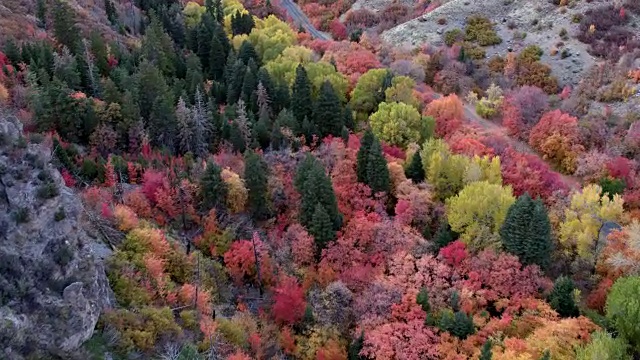 飞过岩石山顶，在峡谷中观赏秋天的色彩视频素材