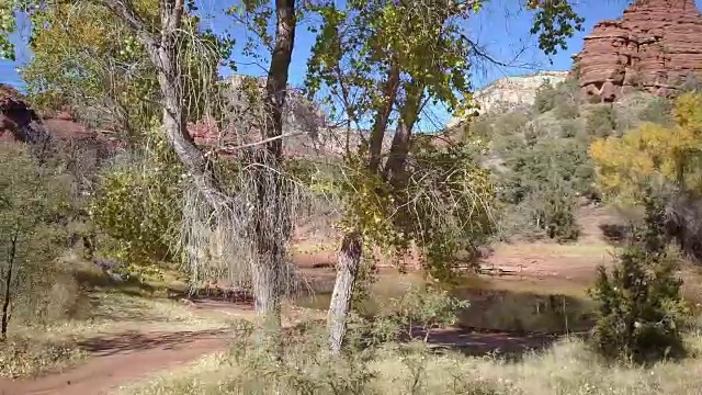 平移沙漠景观与停滞的池塘视频素材