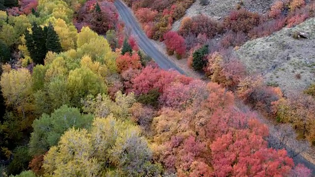 飞过秋天的颜色在峡谷走向道路视频素材