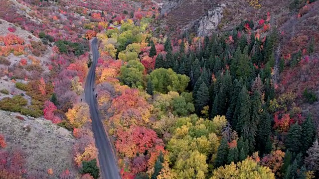 宽阔的鸟瞰图峡谷与蜿蜒的道路在秋季视频素材