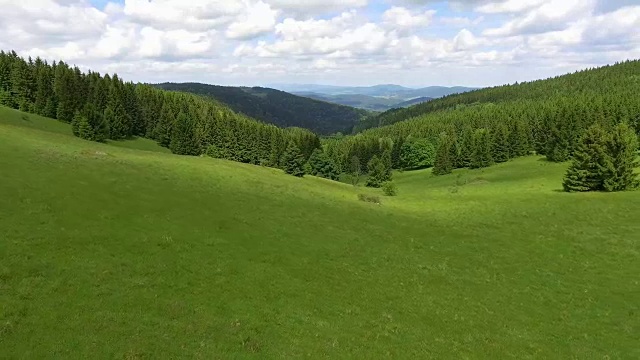 鸟瞰图的夏季时间在山脉附近的Czarna Gora山在波兰。松树林和蓝天白云。从以上观点。视频素材