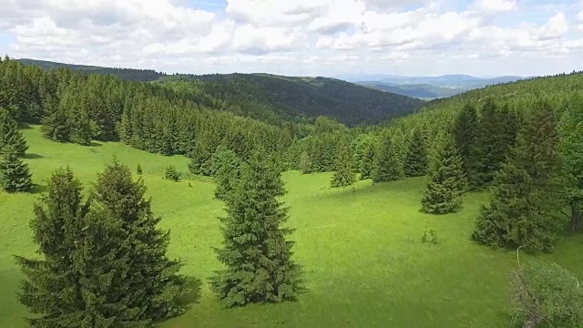 鸟瞰图的夏季时间在山脉附近的Czarna Gora山在波兰。松树林和蓝天白云。从以上观点。视频素材