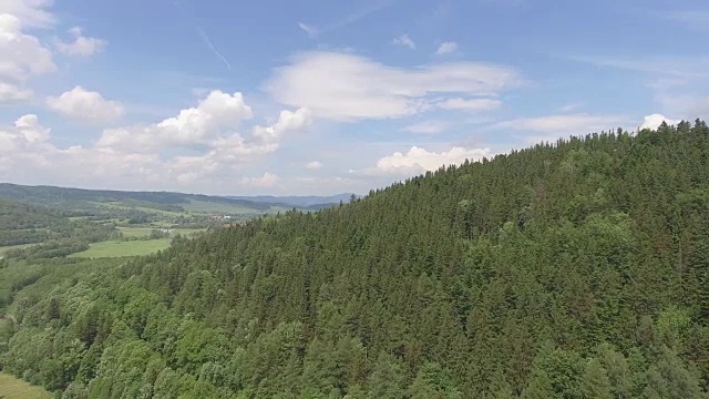 鸟瞰图的夏季时间在山脉附近的Czarna Gora山在波兰。松树林和蓝天白云。从以上观点。视频素材