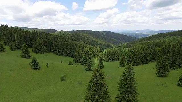 鸟瞰图的夏季时间在山脉附近的Czarna Gora山在波兰。松树林和蓝天白云。从以上观点。视频素材