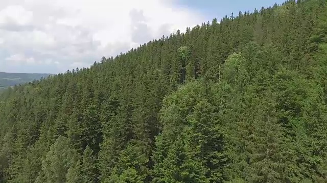 鸟瞰图的夏季时间在山脉附近的Czarna Gora山在波兰。松树林和蓝天白云。从以上观点。视频素材