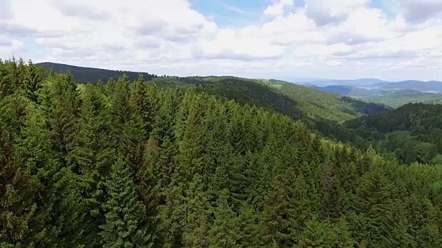 鸟瞰图的夏季时间在山脉附近的Czarna Gora山在波兰。松树林和蓝天白云。从以上观点。视频素材