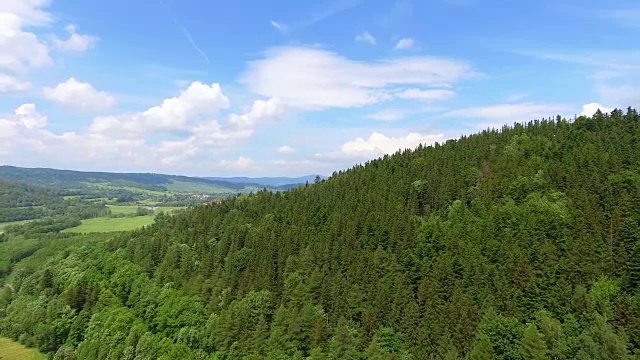 鸟瞰图的夏季时间在山脉附近的Czarna Gora山在波兰。松树林和蓝天白云。从以上观点。视频素材