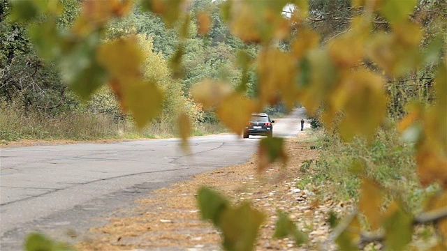 汽车穿过森林道路。视频素材