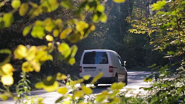 小货车沿着森林道路行驶。视频素材