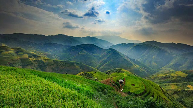 越南盐白木仓寨梯田上的稻田。越南西北部的稻田正在准备收割。越南的风景。视频素材