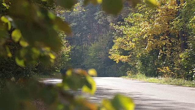 森林路上的卡车。污染环境。视频素材