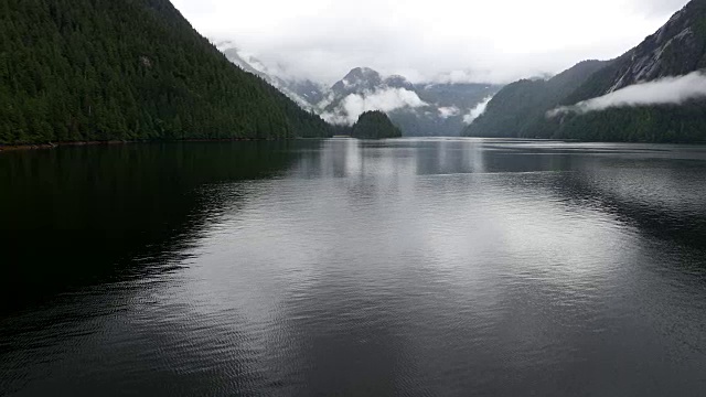 阿拉斯加迷雾峡湾的穆迪海岸景色视频素材