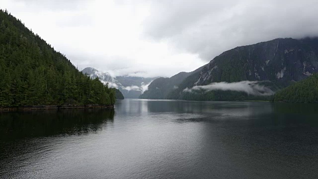 阿拉斯加迷雾峡湾的穆迪海岸景色视频素材