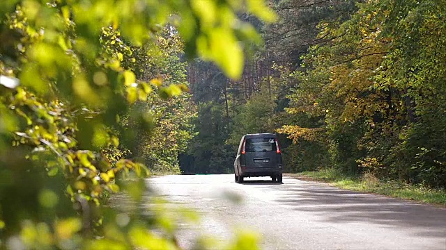 森林道路上车辆的移动。视频素材