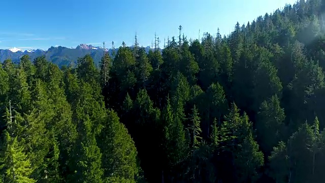 湖泊绿色的自然环境，梯级山脉显示森林栖息地无人机视图视频素材