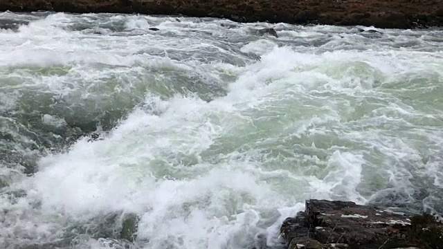 湍急的河水视频素材