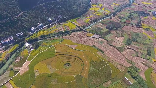 鸟瞰图水稻和中国传统绿色村庄山谷，云南省，中国视频购买