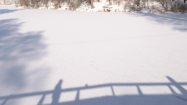 雪地上夫妻的影子。视频素材