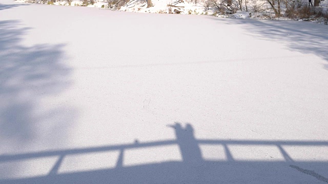 情侣的阴影，雪的背景。视频素材