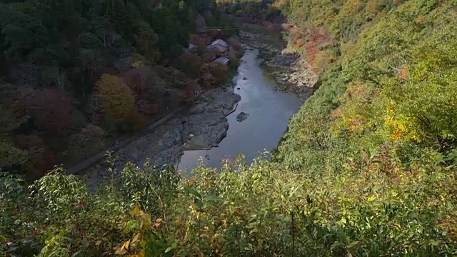 鸟瞰图秋桂河从岚山的观点，日本京都视频素材